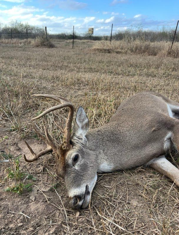 A whitetail buck taken on managed private land